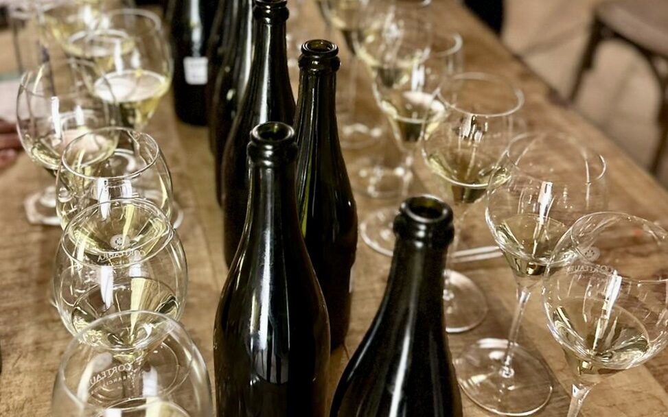 Anticipazioni dalla Cantina: Scopriamo i Nuovi Franciacorta in Arrivo!